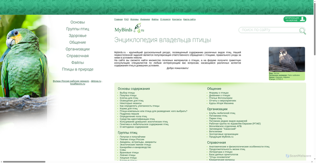 Security scan screenshot of https://mybirds.ru