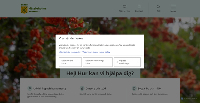 Security scan screenshot of https://www.hassleholm.se/