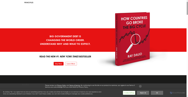 Security scan screenshot of https://www.principles.com/