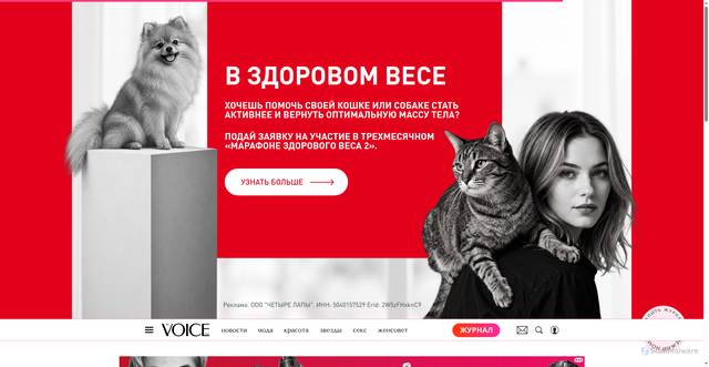 Security scan screenshot of https://thevoicemag.ru