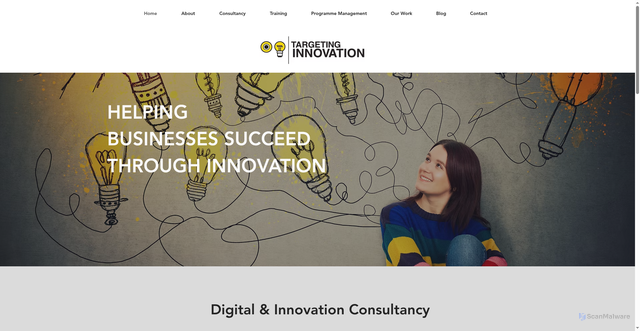 Security scan screenshot of https://www.targetinginnovation.com/