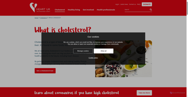 Security scan screenshot of https://www.heartuk.org.uk/cholesterol/what-is-cholesterol