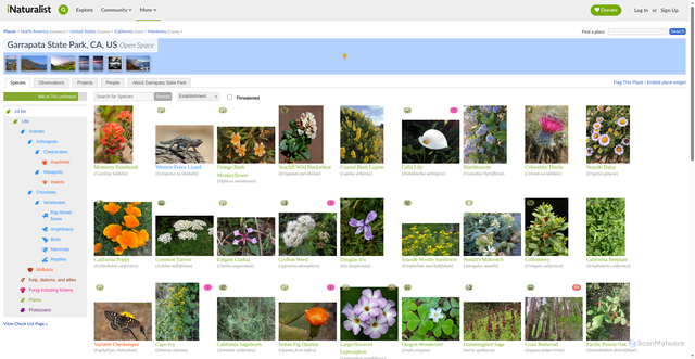 Security scan screenshot of https://www.inaturalist.org/places/garrapata-state-park