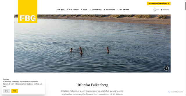 Security scan screenshot of http://www.falkenberg.se