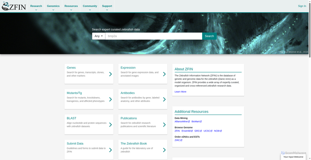 Security scan screenshot of https://zfin.org