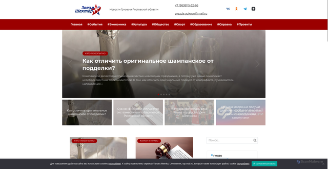 Security scan screenshot of https://zvezdagukovo.ru