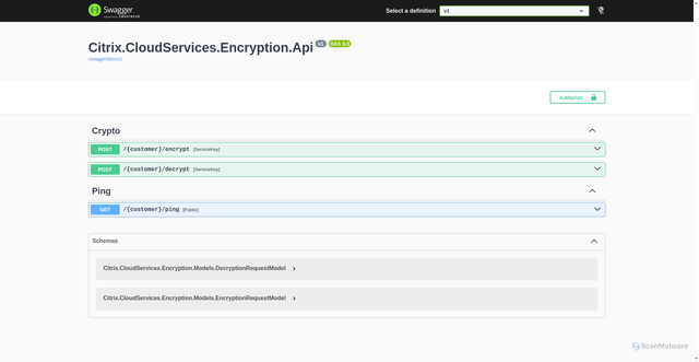 Security scan screenshot of https://encryption-direct-westeurope-release-a.citrixworkspacesapi.net