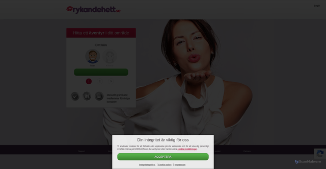 Security scan screenshot of https://rykandehett.se