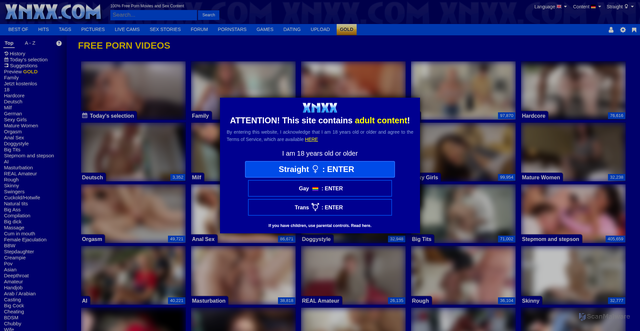 Security scan screenshot of https://xnxx3.com
