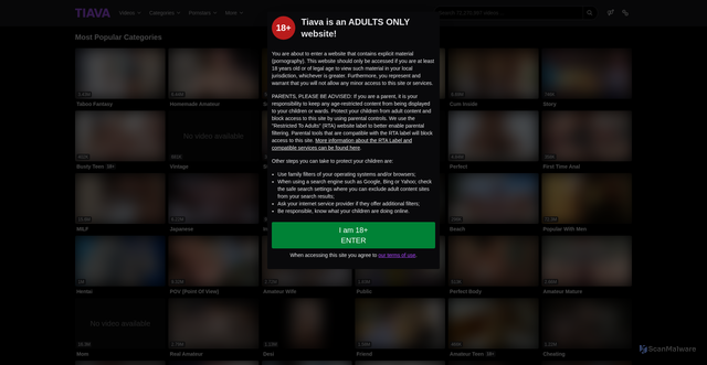 Security scan screenshot of https://tiava.com