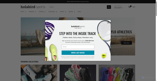 Security scan screenshot of https://holabirdsports.com