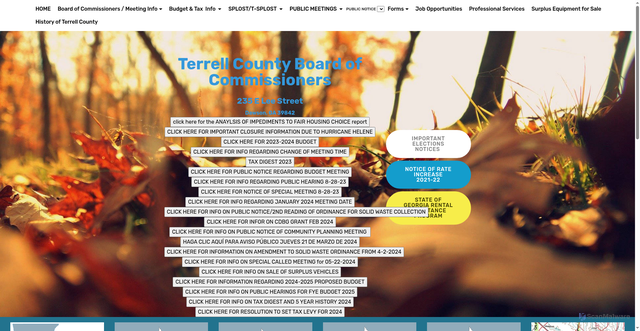 Security scan screenshot of https://terrellcountyga.gov/