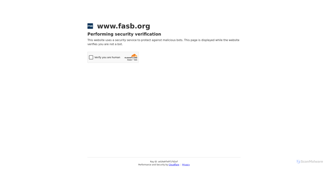 Security scan screenshot of https://www.fasb.org/page/PageContent?pageId=%2FArchive%2Fsuperseded-standards%2Fderivatives-statement-implementation%2Ffasb-miscellaneous-determining-whether-separate-transactions-should-be-viewed-asa-unit.html&isStaticPage=true