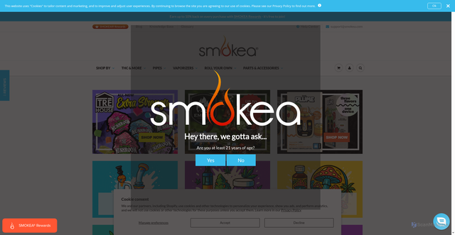 Security scan screenshot of https://smokea.com