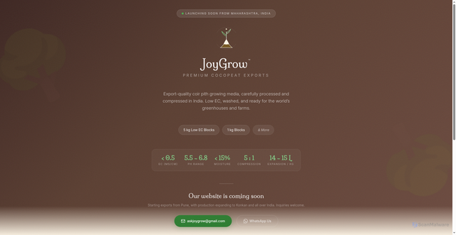Security scan screenshot of https://joygrow-site.pages.dev/