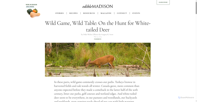 Security scan screenshot of https://ediblemadison.com/stories/wild-game-wild-table