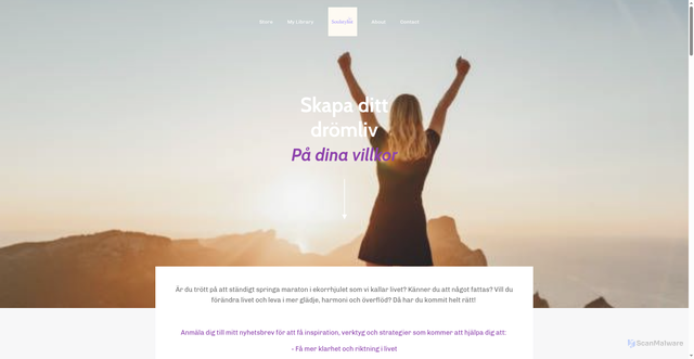 Security scan screenshot of https://soulstylist.se