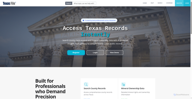 Security scan screenshot of https://texasfile.com