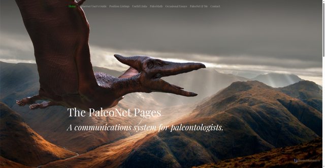 Security scan screenshot of https://paleonet.org