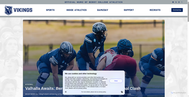 Security scan screenshot of https://www.berryvikings.com/