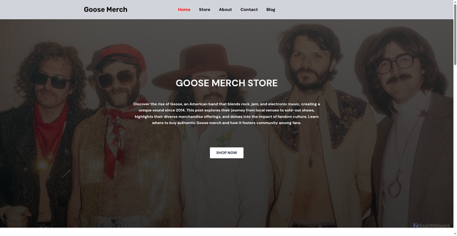 Security scan screenshot of https://goosemerch.net/