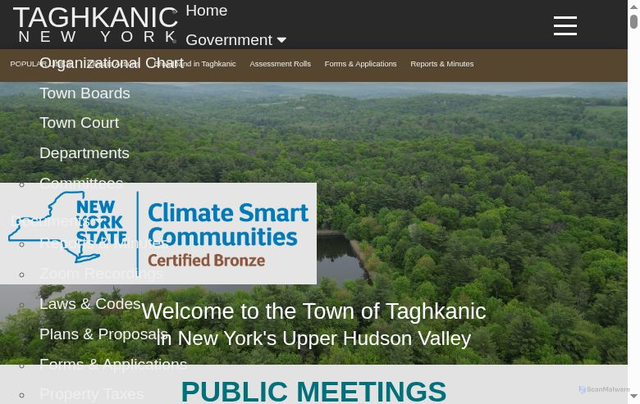 Security scan screenshot of https://taghkanic.gov/