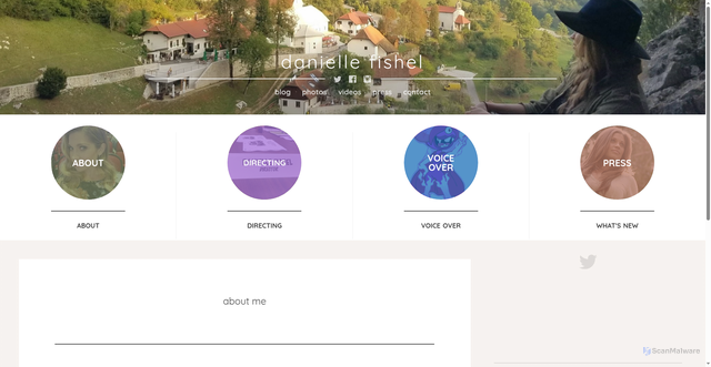 Security scan screenshot of https://daniellefishel.com/