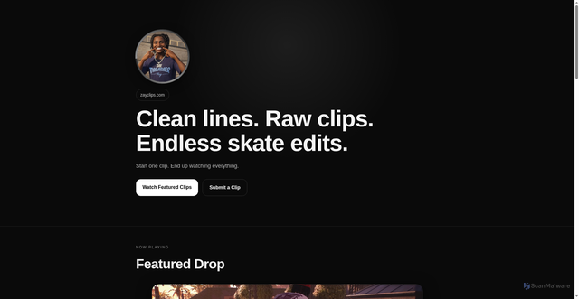 Security scan screenshot of https://zayclips.com/