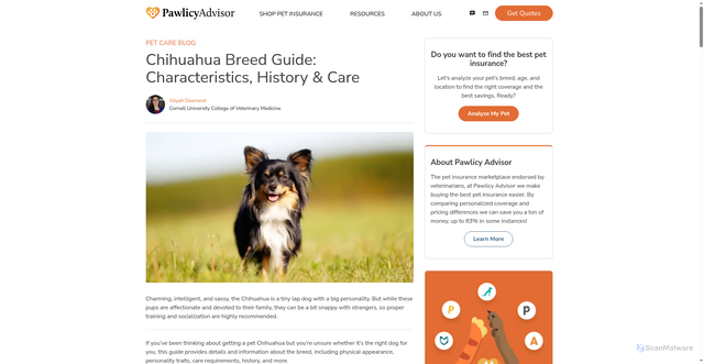 Security scan screenshot of https://www.pawlicy.com/blog/chihuahua-dog-breed/