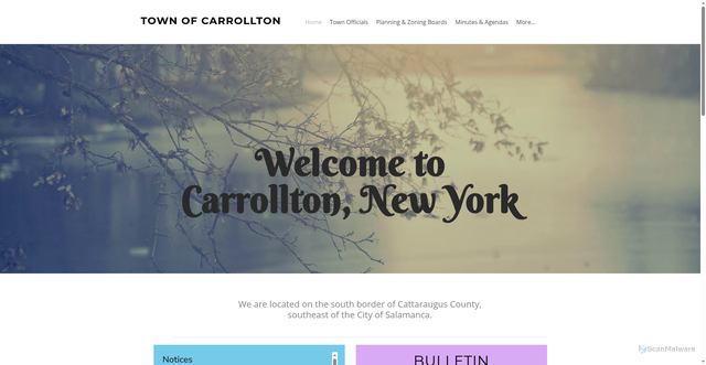 Security scan screenshot of https://www.carrolltonny.gov/