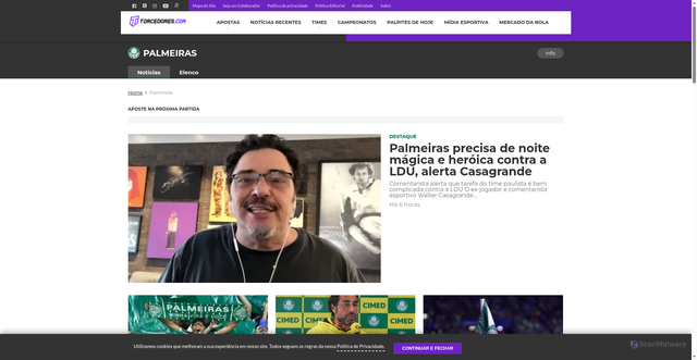 Security scan screenshot of https://www.torcedores.com/equipes/palmeiras