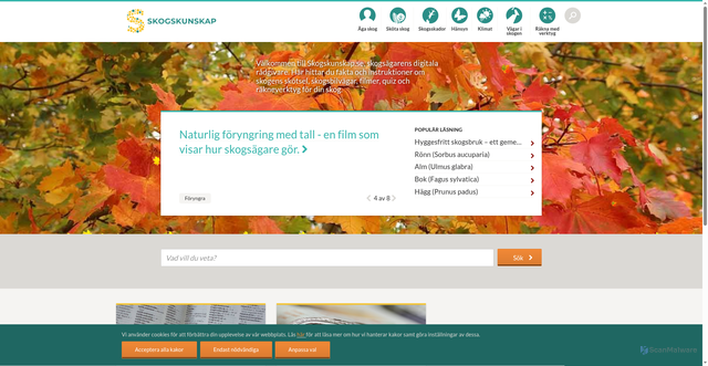 Security scan screenshot of https://kunskapdirekt.se