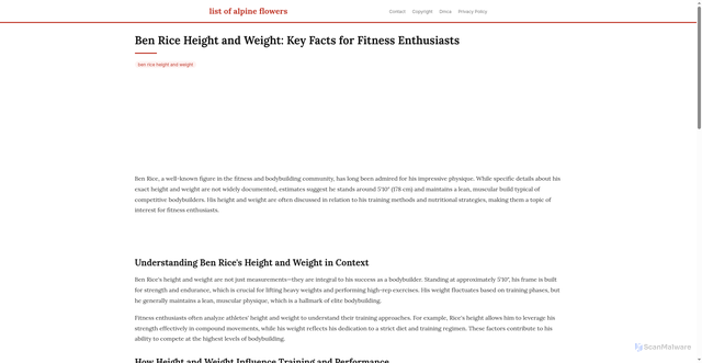 Security scan screenshot of https://vistalokalflow-dpmdyp2ylod7.edgeone.app/ben-rice-height-and-weight.html