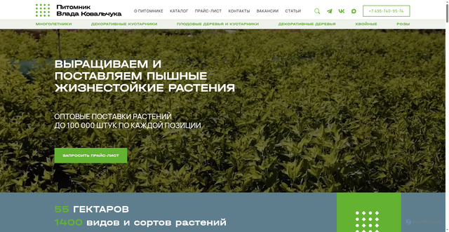 Security scan screenshot of https://pitomnikvlada.ru