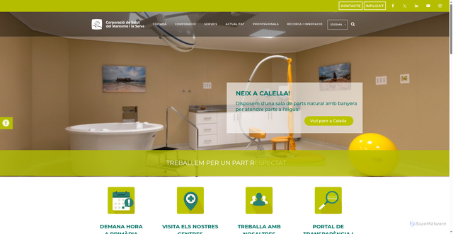 Security scan screenshot of https://salutms.cat