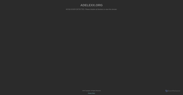 Security scan screenshot of https://www.adelexx.org