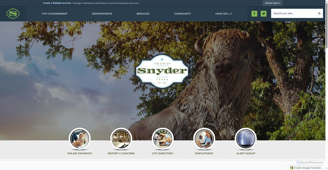 Security scan screenshot of https://snydertx.gov/