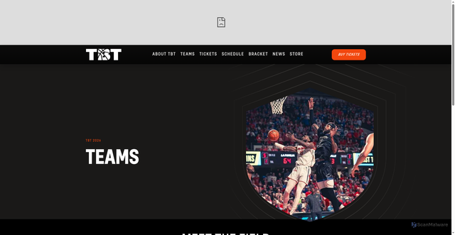 Security scan screenshot of https://tbthoops.com/teams/