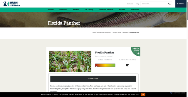 Security scan screenshot of https://www.nwf.org/Educational-Resources/Wildlife-Guide/Mammals/Florida-Panther