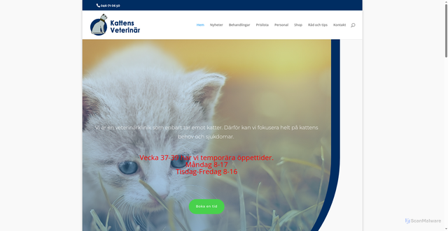Security scan screenshot of https://kattens.nu