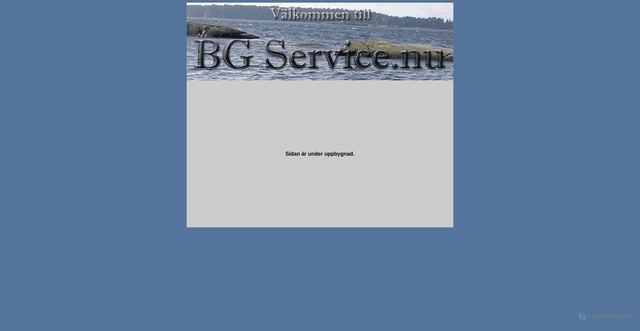 Security scan screenshot of https://bgservice.nu