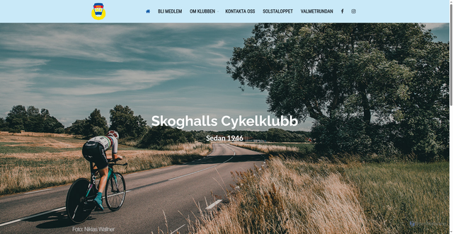 Security scan screenshot of https://skoghallsck.se