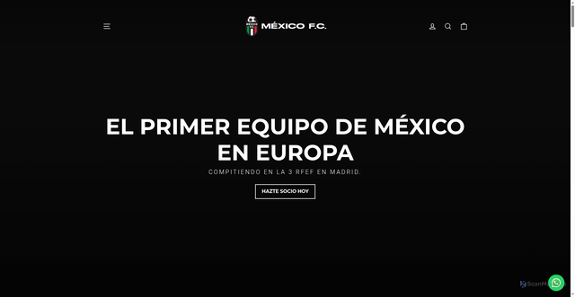 Security scan screenshot of https://mexicofc.com/