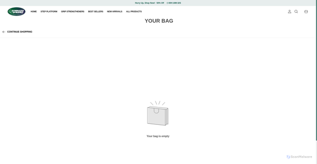Security scan screenshot of https://gymnaziodynamiz.com/bag