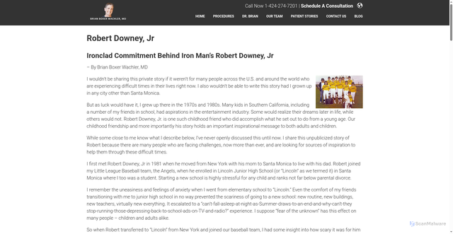 Security scan screenshot of https://boxerwachler.com/robert-downey-jr