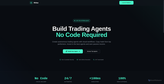 Security scan screenshot of http://midaz.xyz/