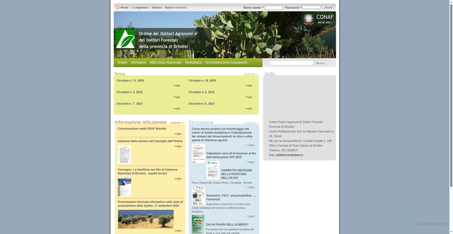Security scan screenshot of http://ordinebrindisi.conaf.it/