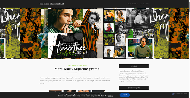 Security scan screenshot of https://timothee-chalamet.net/