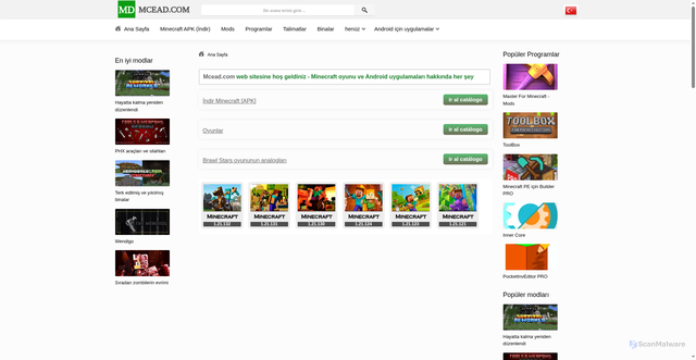 Security scan screenshot of https://mcead.com