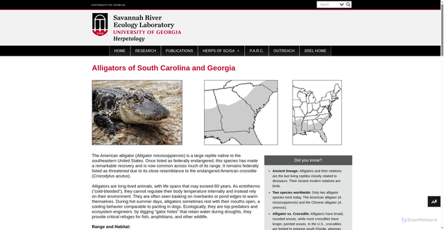 Security scan screenshot of https://srelherp.uga.edu/alligators/